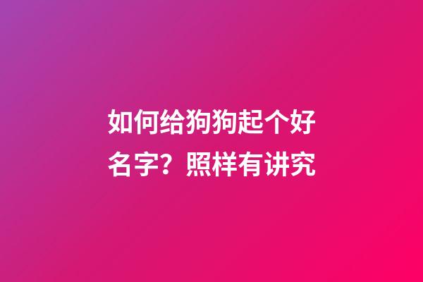 如何给狗狗起个好名字？照样有讲究