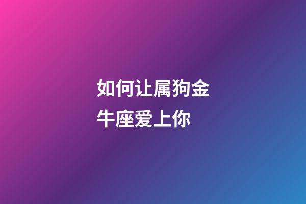 如何让属狗金牛座爱上你-第1张-星座运势-玄机派