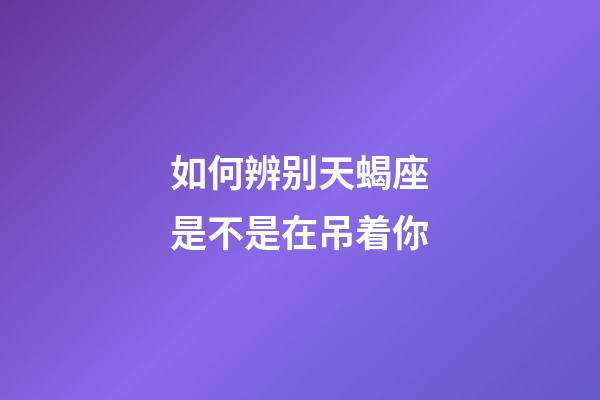 如何辨别天蝎座是不是在吊着你-第1张-星座运势-玄机派