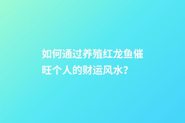 如何通过养殖红龙鱼催旺个人的财运风水？