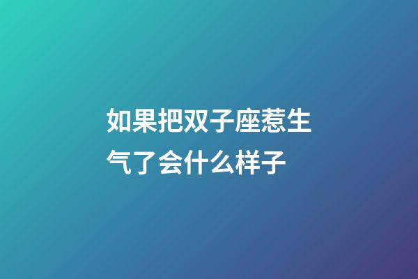 如果把双子座惹生气了会什么样子-第1张-星座运势-玄机派