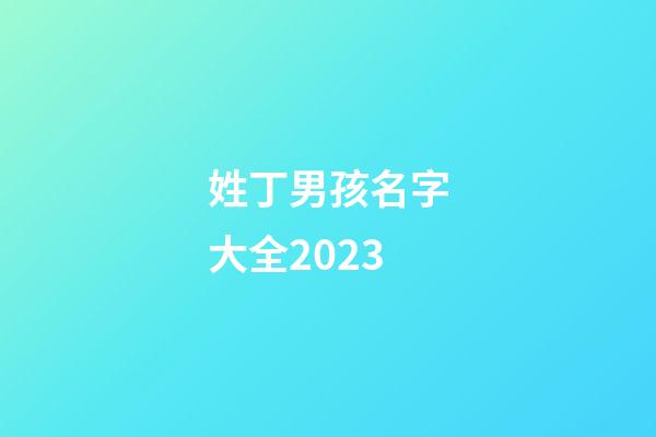 姓丁男孩名字大全2023
