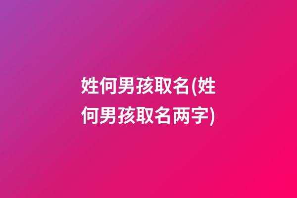 姓何男孩取名(姓何男孩取名两字)