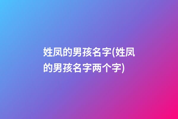 姓凤的男孩名字(姓凤的男孩名字两个字)