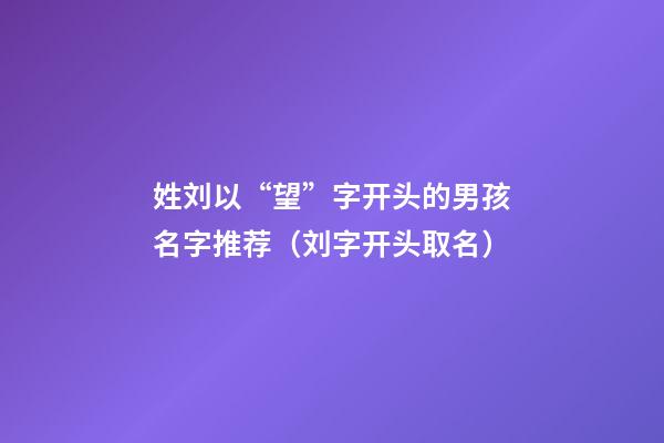 姓刘以“望”字开头的男孩名字推荐（刘字开头取名）