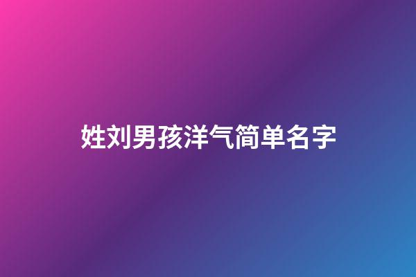 姓刘男孩洋气简单名字