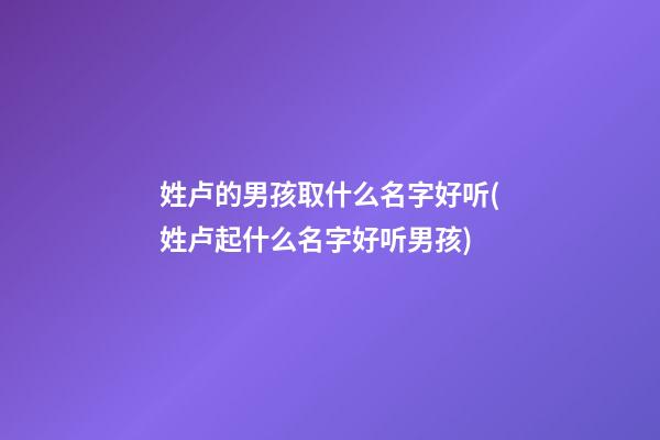 姓卢的男孩取什么名字好听(姓卢起什么名字好听男孩)