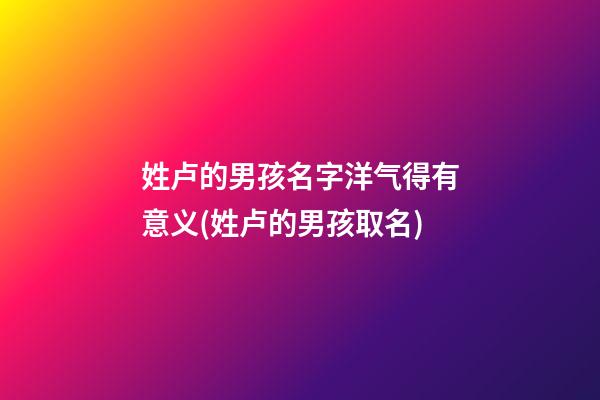 姓卢的男孩名字洋气得有意义(姓卢的男孩取名)