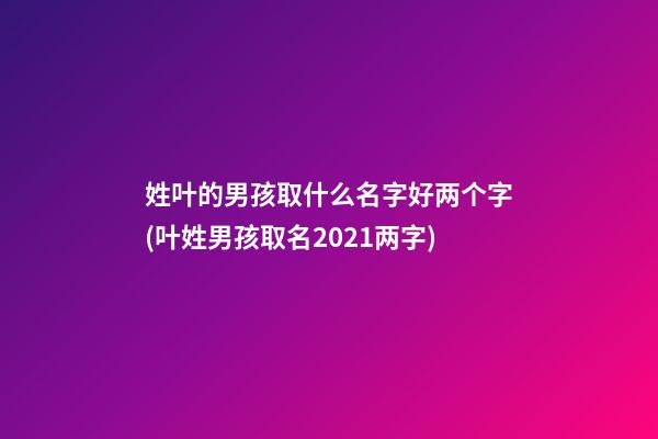姓叶的男孩取什么名字好两个字(叶姓男孩取名2021两字)