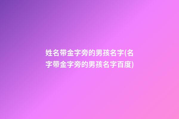 姓名带金字旁的男孩名字(名字带金字旁的男孩名字百度)