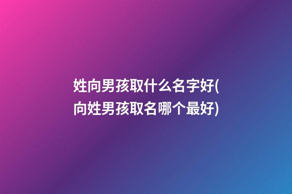 姓向男孩取什么名字好(向姓男孩取名哪个最好)