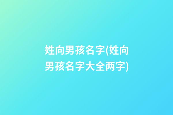 姓向男孩名字(姓向男孩名字大全两字)