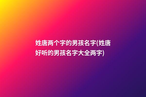 姓唐两个字的男孩名字(姓唐好听的男孩名字大全两字)