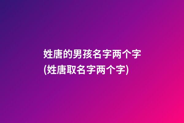 姓唐的男孩名字两个字(姓唐取名字两个字)