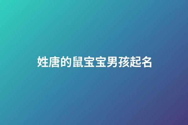 姓唐的鼠宝宝男孩起名