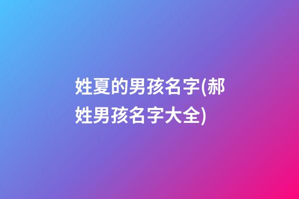 姓夏的男孩名字(郝姓男孩名字大全)