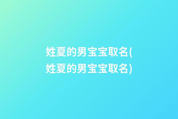 姓夏的男宝宝取名(姓夏的男宝宝取名)
