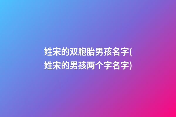 姓宋的双胞胎男孩名字(姓宋的男孩两个字名字)