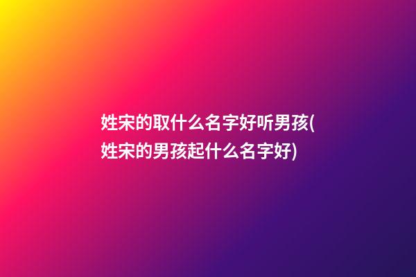 姓宋的取什么名字好听男孩(姓宋的男孩起什么名字好)