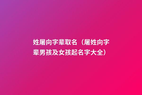 姓屠向字辈取名（屠姓向字辈男孩及女孩起名字大全）