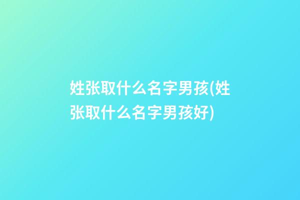 姓张取什么名字男孩(姓张取什么名字男孩好)
