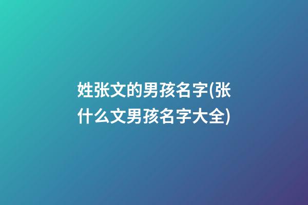 姓张文的男孩名字(张什么文男孩名字大全)