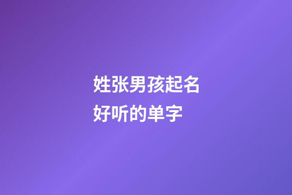姓张男孩起名好听的单字