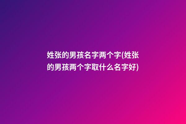 姓张的男孩名字两个字(姓张的男孩两个字取什么名字好)