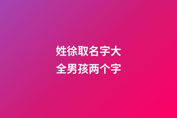 姓徐取名字大全男孩两个字