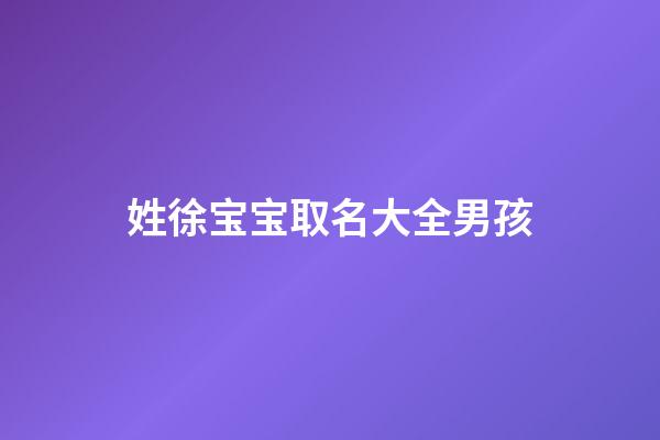 姓徐宝宝取名大全男孩