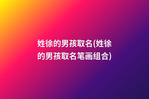 姓徐的男孩取名(姓徐的男孩取名笔画组合)