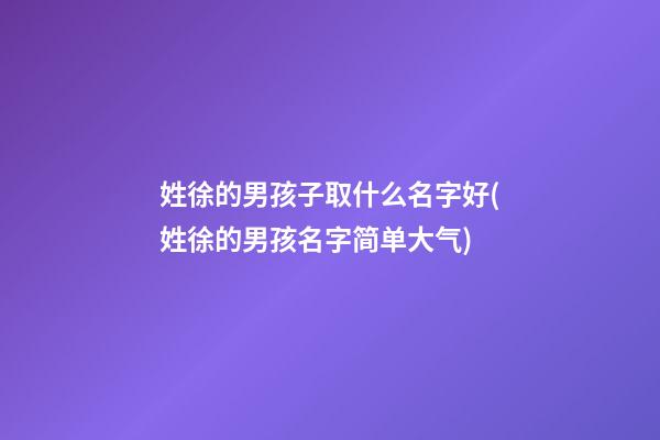 姓徐的男孩子取什么名字好(姓徐的男孩名字简单大气)