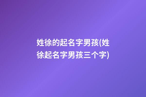 姓徐的起名字男孩(姓徐起名字男孩三个字)