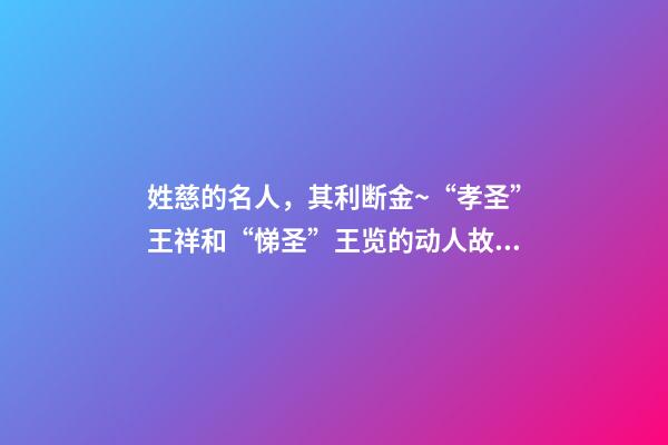 姓慈的名人，其利断金~“孝圣”王祥和“悌圣”王览的动人故事-第1张-观点-玄机派