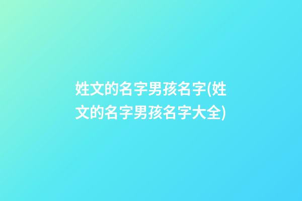 姓文的名字男孩名字(姓文的名字男孩名字大全)