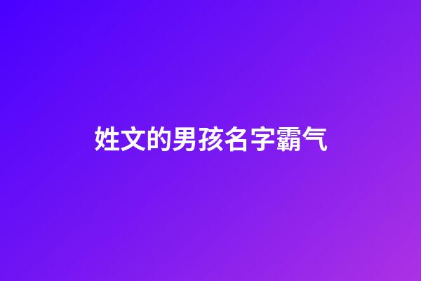 姓文的男孩名字霸气
