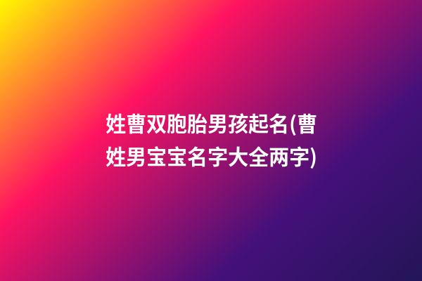 姓曹双胞胎男孩起名(曹姓男宝宝名字大全两字)