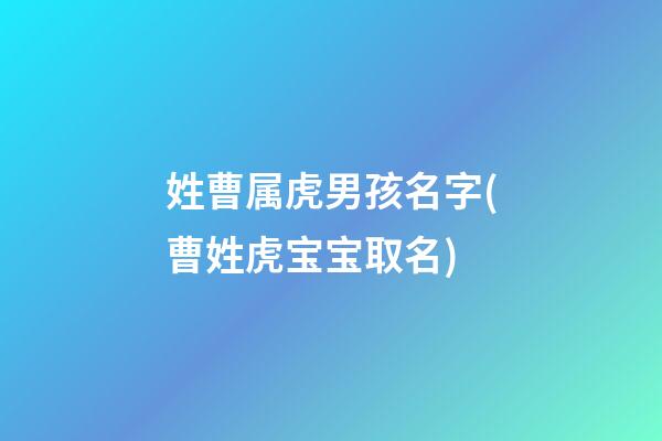 姓曹属虎男孩名字(曹姓虎宝宝取名)