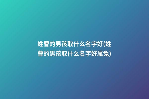 姓曹的男孩取什么名字好(姓曹的男孩取什么名字好属兔)