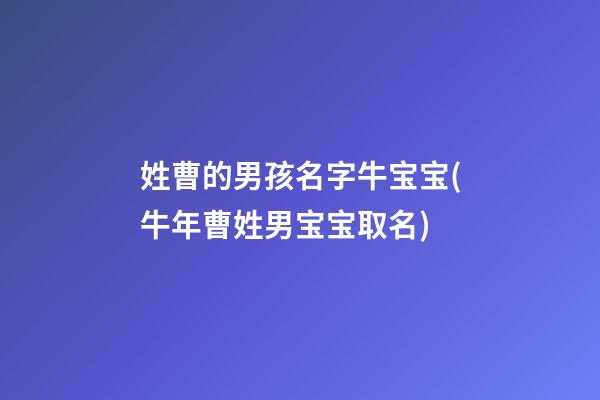 姓曹的男孩名字牛宝宝(牛年曹姓男宝宝取名)