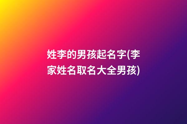 姓李的男孩起名字(李家姓名取名大全男孩)