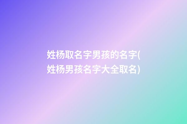姓杨取名字男孩的名字(姓杨男孩名字大全取名)