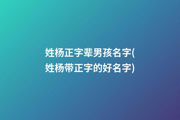 姓杨正字辈男孩名字(姓杨带正字的好名字)