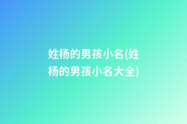 姓杨的男孩小名(姓杨的男孩小名大全)