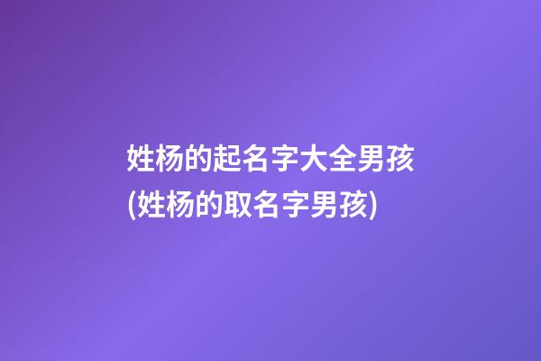 姓杨的起名字大全男孩(姓杨的取名字男孩)