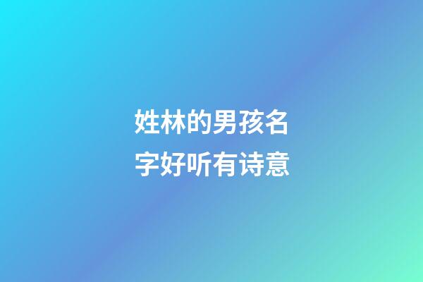 姓林的男孩名字好听有诗意