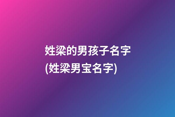 姓梁的男孩子名字(姓梁男宝名字)