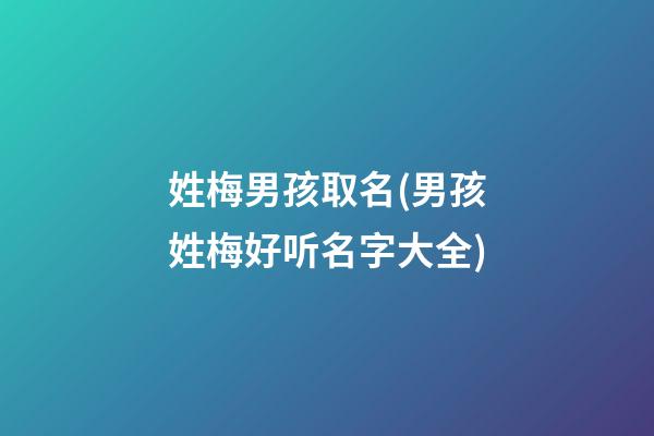 姓梅男孩取名(男孩姓梅好听名字大全)