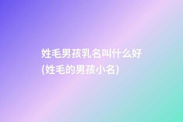 姓毛男孩乳名叫什么好(姓毛的男孩小名)