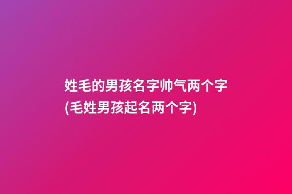 姓毛的男孩名字帅气两个字(毛姓男孩起名两个字)